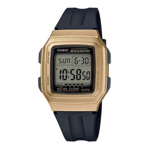 Casio Mario