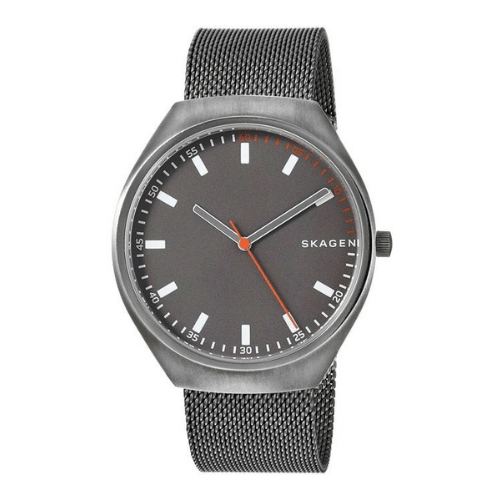Skagen Denmark Grenen Titanium