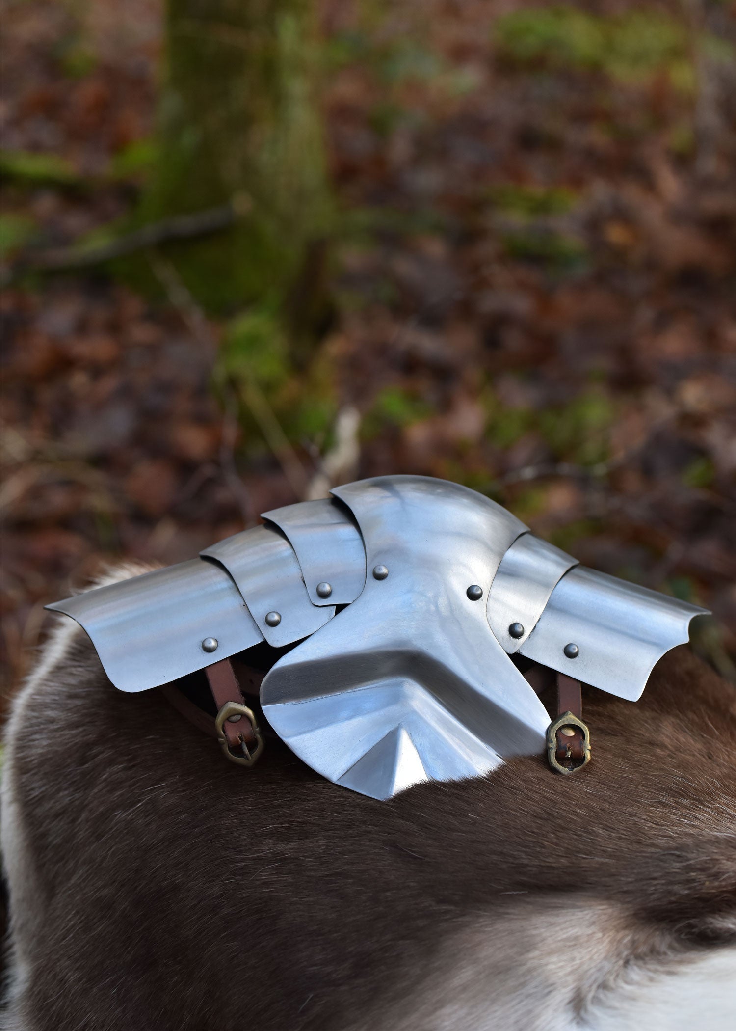 Mittelalter Kniebuckel aus Stahl (Paar) - 15. Jh.