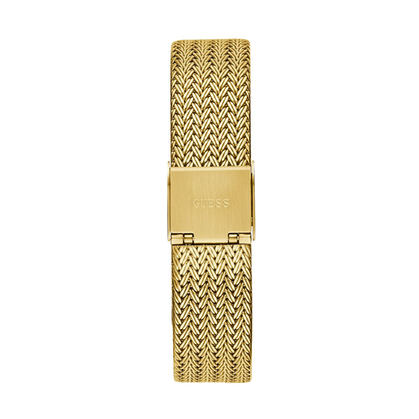 Classima Lady