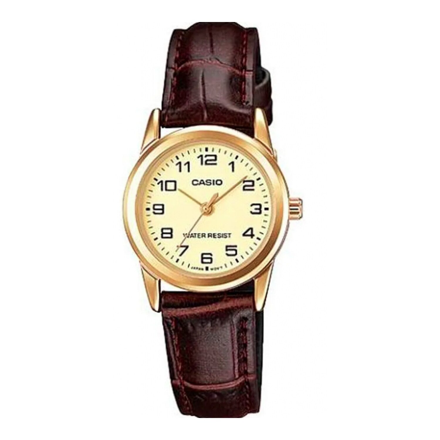 Collection Casio Intemporelle