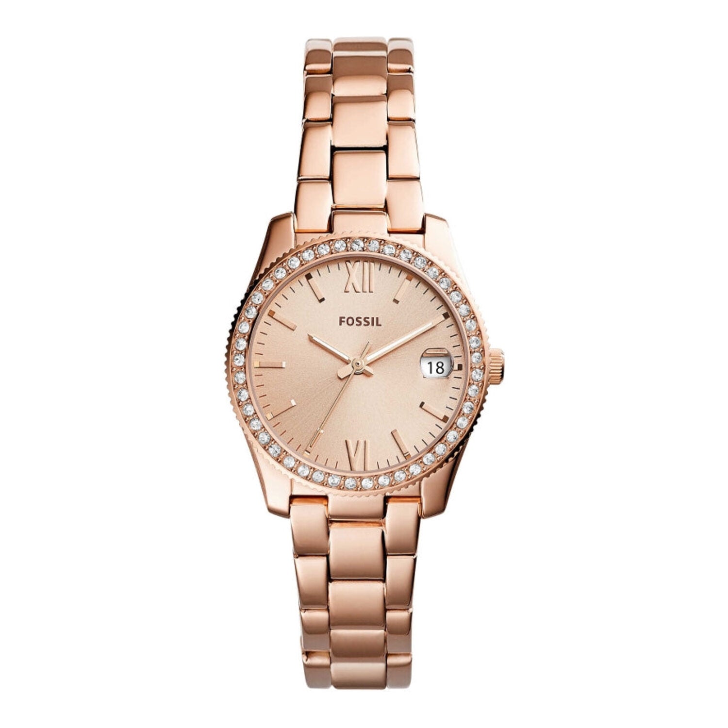 Fossil Scarlette