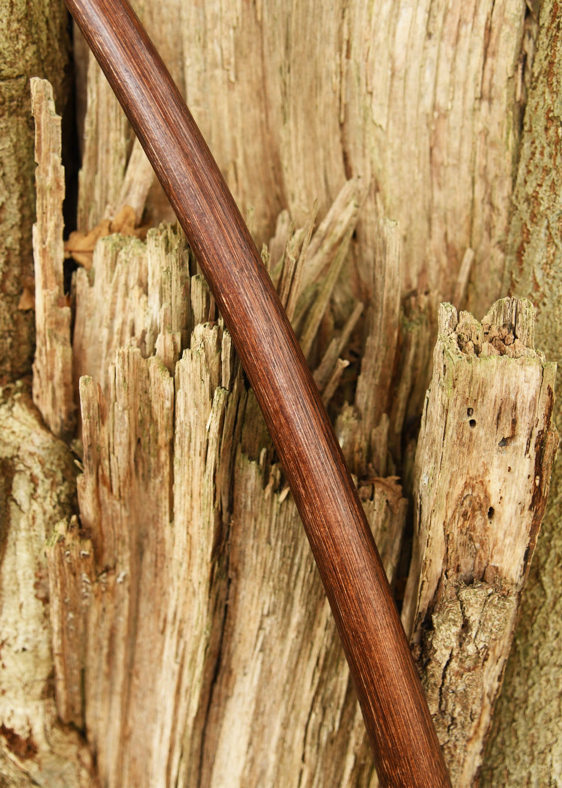 Agincourt Langbogen 70 Zoll: Rattan, Braun inkl. Sehne