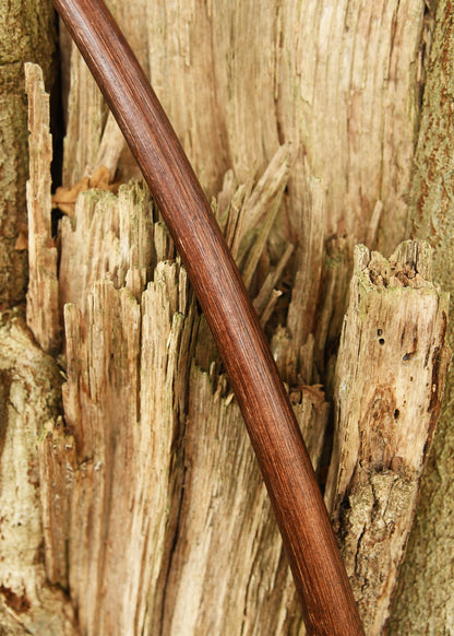 Agincourt Langbogen 70 Zoll: Rattan, Braun inkl. Sehne