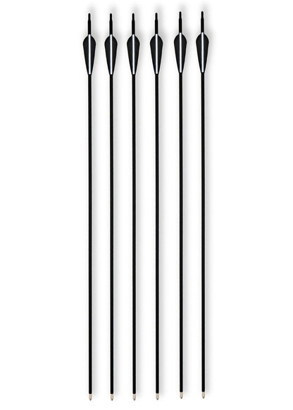 6er Set Carbon Hybrid Pfeile mit Metallspitze