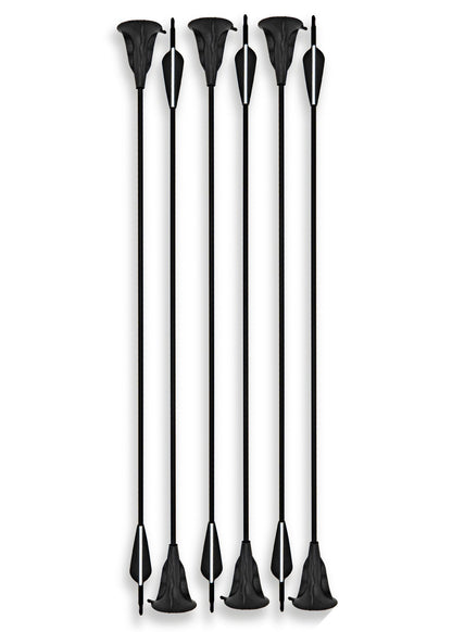 6er Set Carbon Hybrid Saugnapfpfeile für Einsteiger