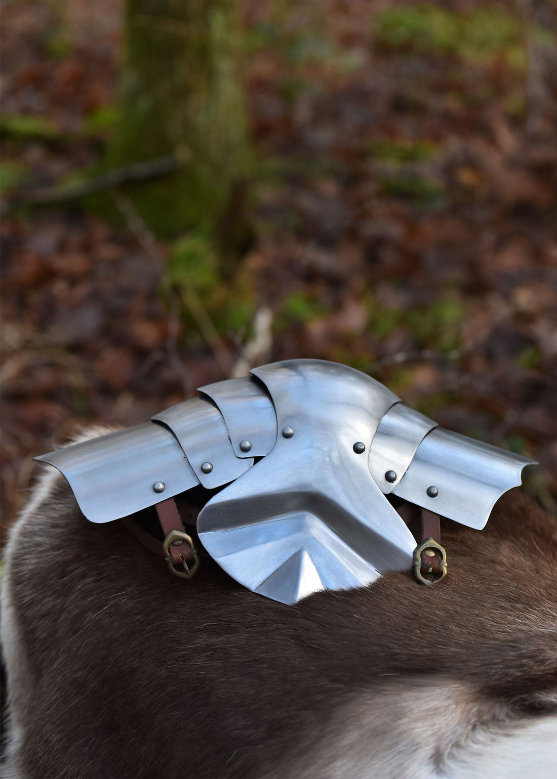 Mittelalter Kniebuckel aus Stahl (Paar) - 15. Jh.
