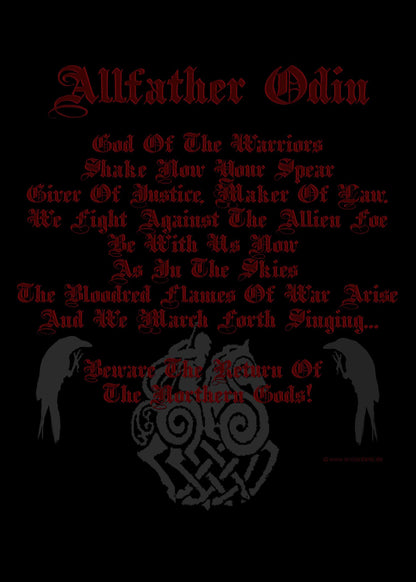 longsleeve shirt beware the return of odin