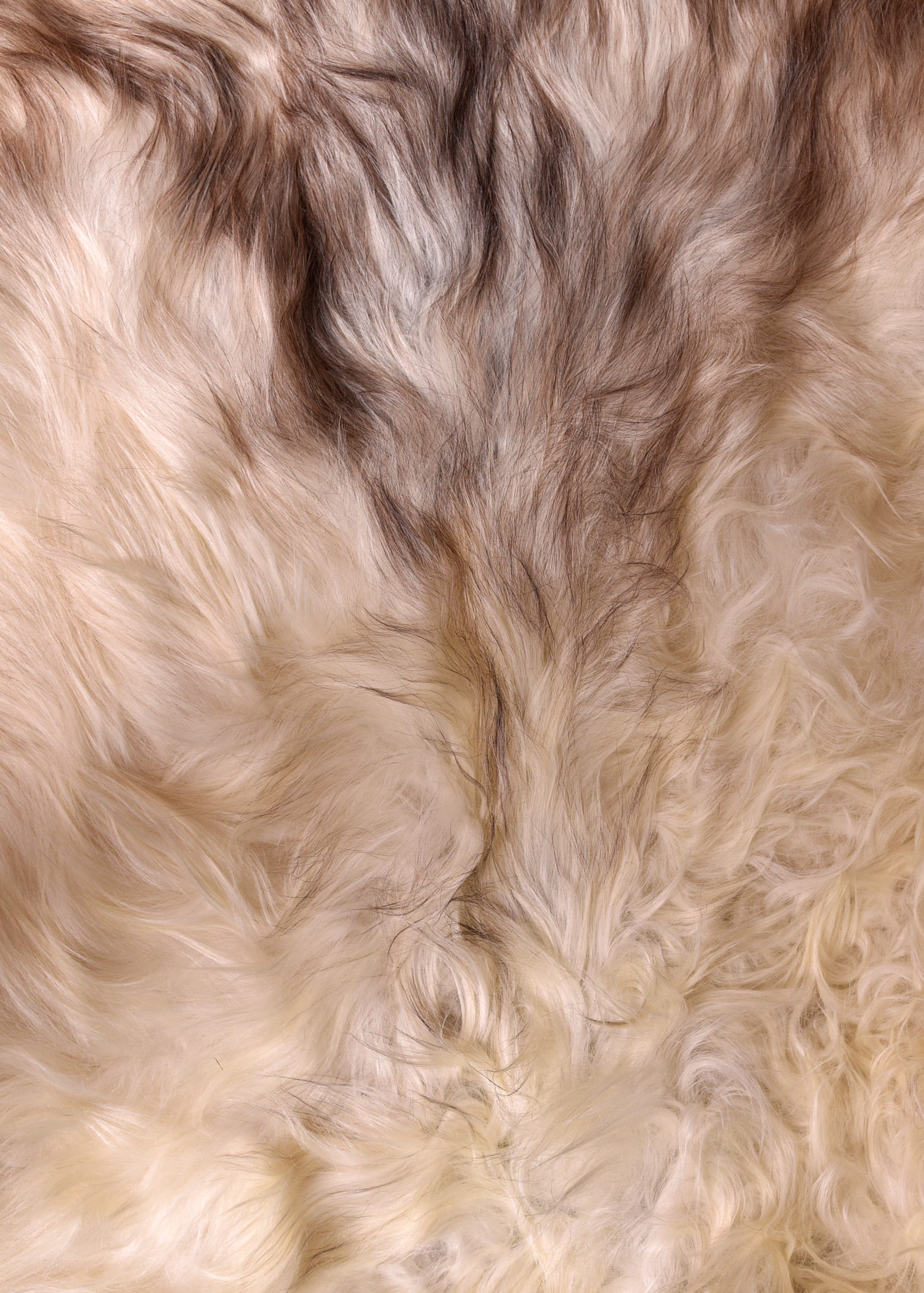 Flauschiges Nordlandschnuckenfell Hell (110 cm)