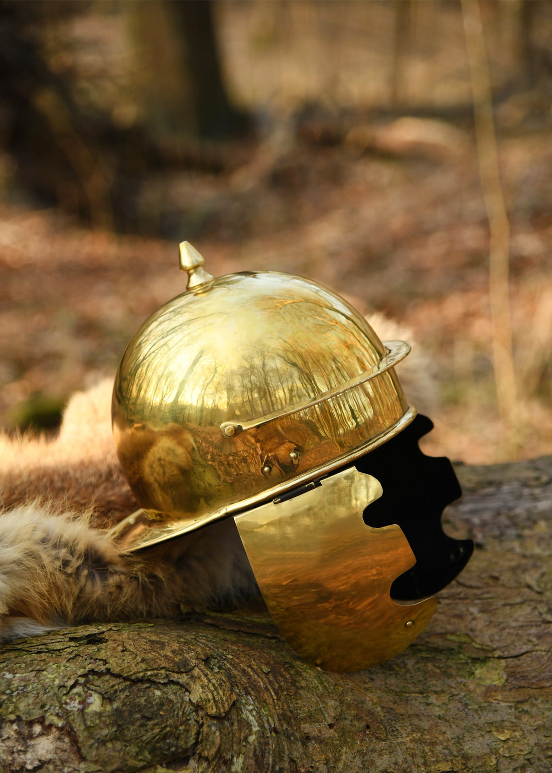 roemerhelm coolus d haltern messing