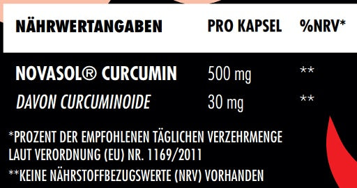 Big Zone NovaSol Curcumin 90 Liquid Kapseln