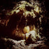 Wolves In The Throne Room: Celestial Lineage CD (US Import)