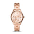 Fossil Rye Multifunktion