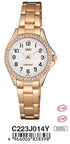 Q and Q C223J014Y Armbanduhr