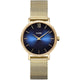 Minuit Mesh Gold Deep Blue