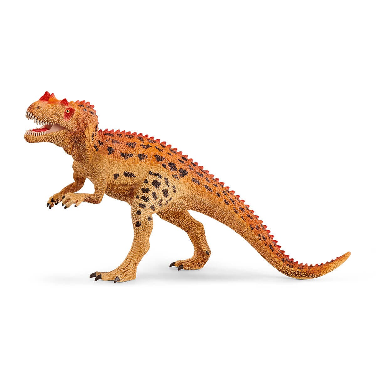 Dino Ceratosaurus