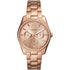 Fossil Scarlette