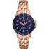 Fossil FB 01