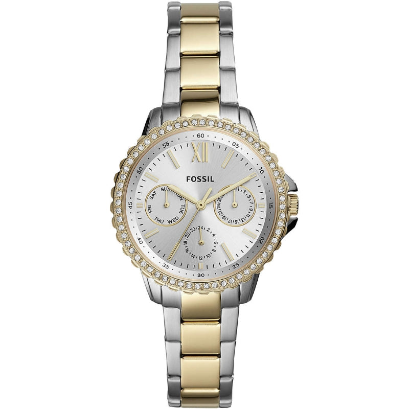 Fossil Izzy