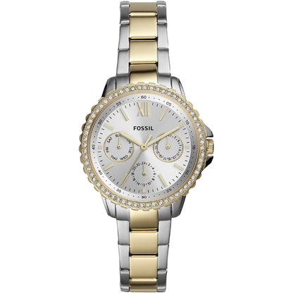 Fossil Izzy