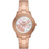 Fossil Stella