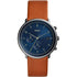 Fossil Chase Timer