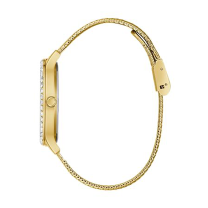 Classima Lady