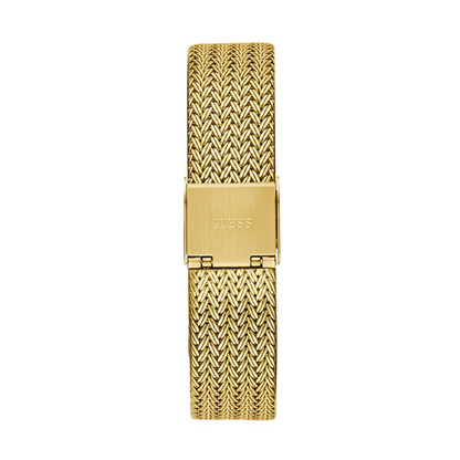 Classima Lady