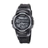 Calypso Arctic Splash