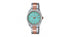 Casio Standard Analog Date