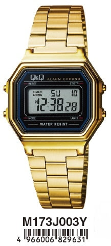 Q and Q Classic Analog Watch M173J003Y