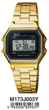 Q and Q Classic Analog Watch M173J003Y