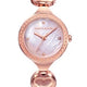 Classic Rose Gold Steel