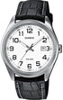 Casio Timeless Collection