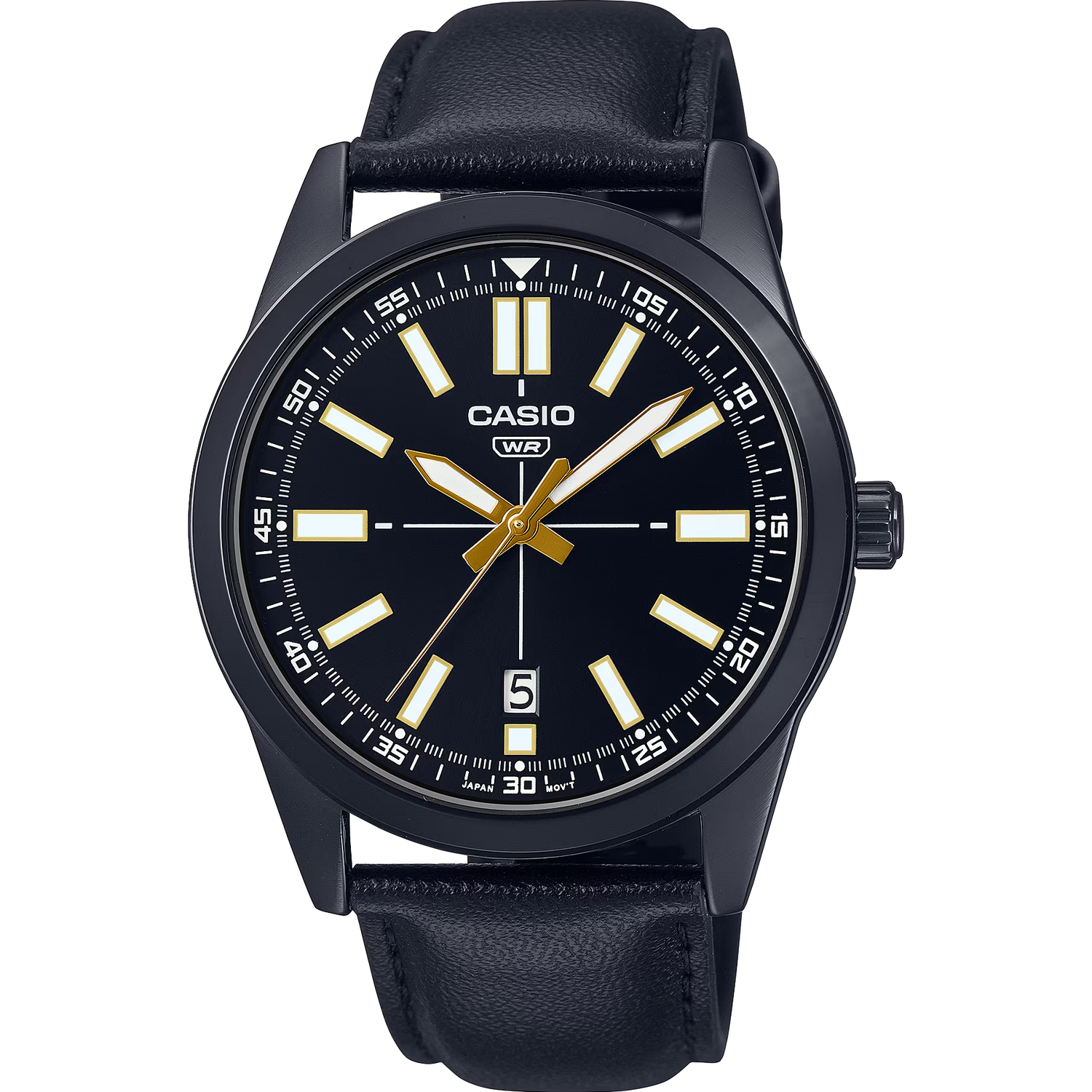 Casio Fitz