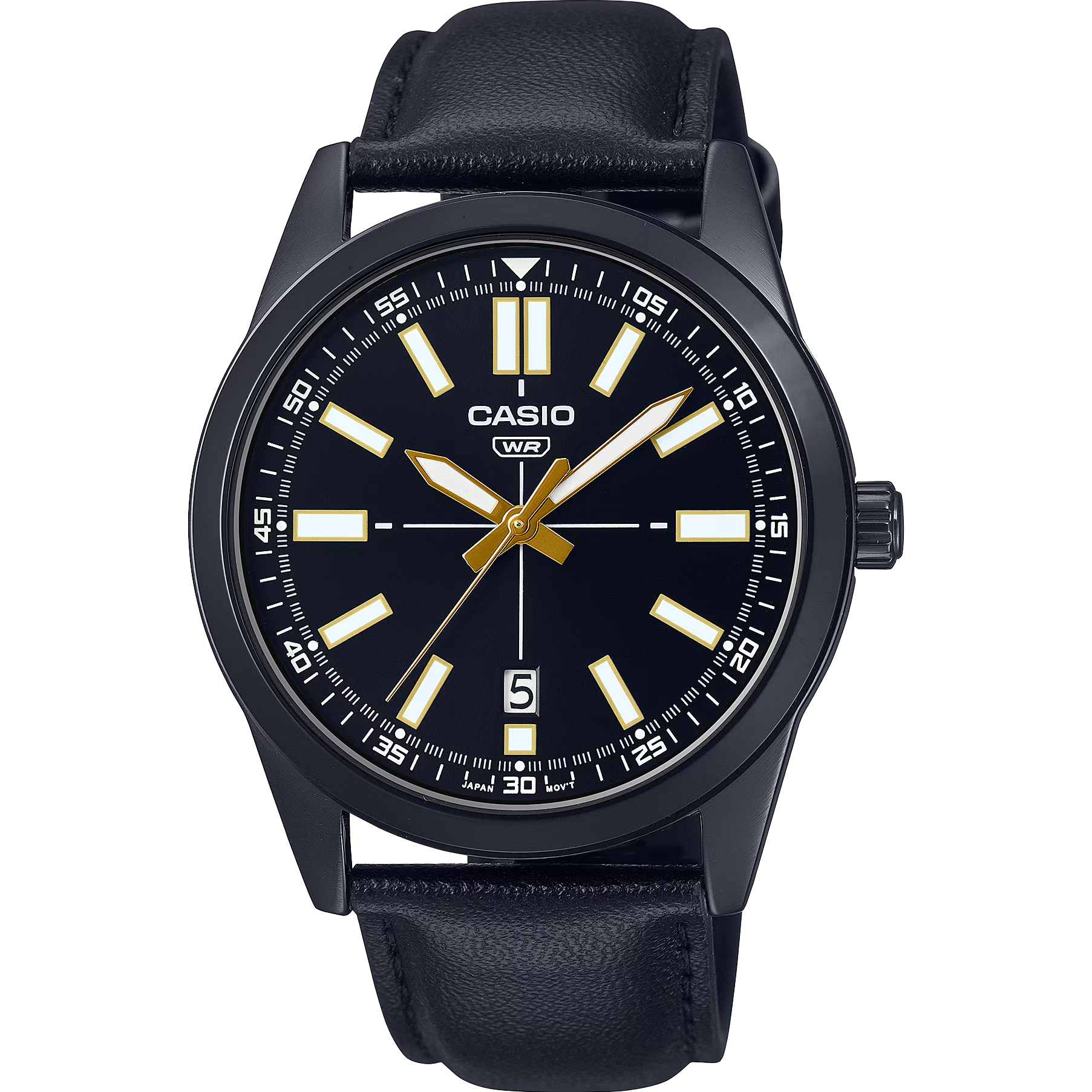 Casio Fitz