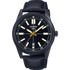 Casio Fitz