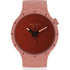 swatch-uhren-kaufen-sb03r100