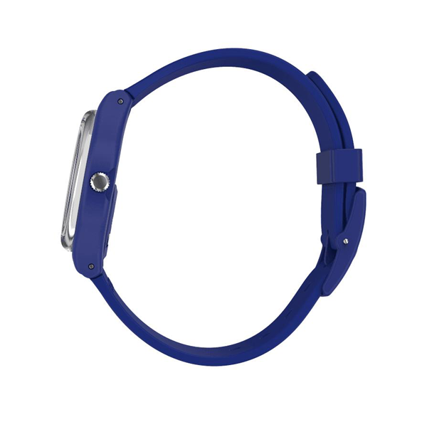 Swatch Silverwakati SO28N100