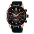 Seiko Astron GPS Solar Dual Time