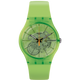 Kiwi Vibes