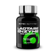 Scitec Lactase Enzyme 100 Kapsel