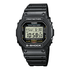 DW 5600E 1VER