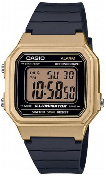 Casio Illuminator