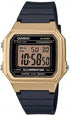 Casio Illuminator