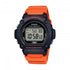 Casio Illuminator