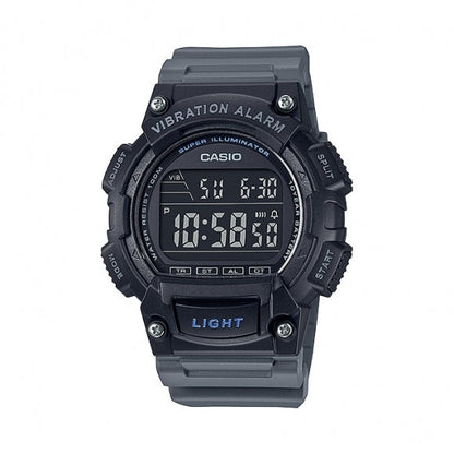 Casio Illuminator