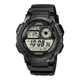 World Time 10-Year Battery