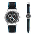 Swatch Blue Details