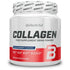 Biotech Collagen 300G Black Raspberry